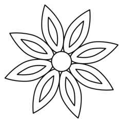 Star anise. Sketch. Badian. Vector illustration. Coloring book for children. Spices for drinks and pastries. Magnolia fruit. Outline on an isolated background. Doodle style. Idea for web design