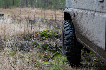 Fototapeta na wymiar photograph of a jeep in impenetrable forests