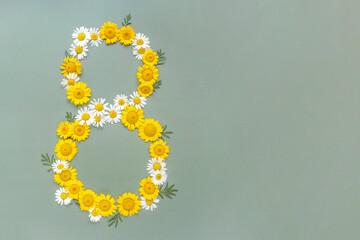 Greeting card for International Women's Day on March 8. Flowers chamomiles in shape of number eight on green background. Copy space
