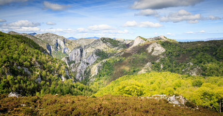 Obraz premium Vistas a los montes
