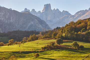 Fall landscape in Asturias. Naranjo de Bulnes. Picu Urriellu. Spain