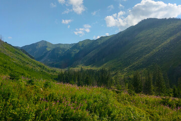 Fototapeta na wymiar Beautiful scenic view of the mountain slopes on a sunny day.