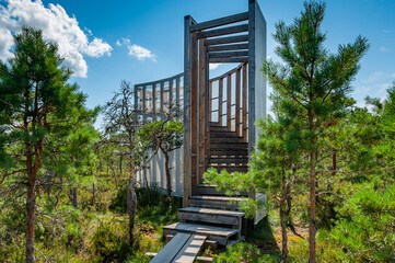Observation facilities inside a Nature Reserve. The wooden path leads to the Observation tower among pines. Tuhu hiking trail. Estonia.