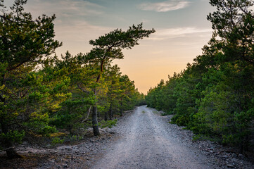 Fototapeta na wymiar Road leading to sunset. Picturesque landscape scene, long straight road leading towards sunset at skyline. Harilaiu peninsula of Vilsandi National Park. Estonia.