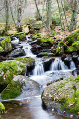 Arroyo del Sestil. Sierra de Guadarrama. Madrid. España. Europa.