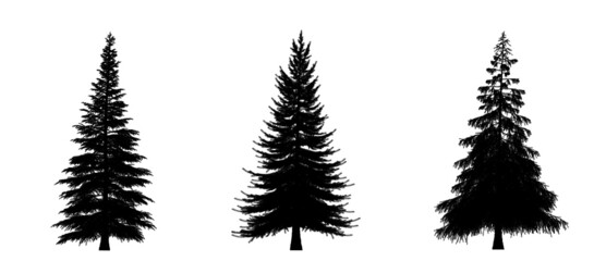 Black silhouette of Pine, Christmas tree icon isolated on white background. 