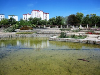 pond in park with rosebeds