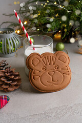 Milk and tiger gingerbread cookies for Santa Claus 2022