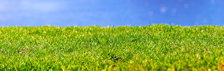 Spring and summer background with green grass near the river