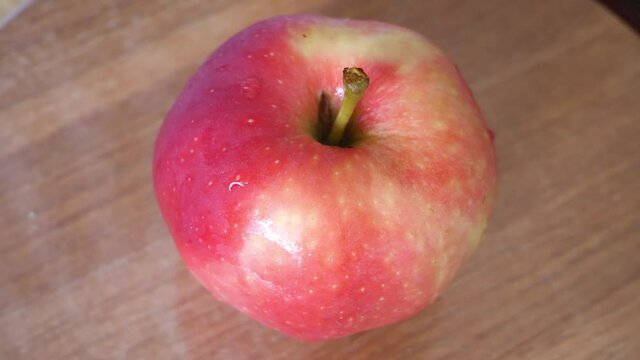 One pink apple of the ligol variety, video. Fruit close-up.
