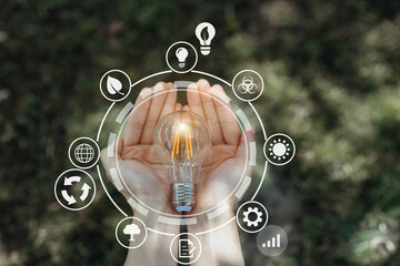 light bulb against nature, icons. idea solar energy in nature, hand holding light bulb concept.