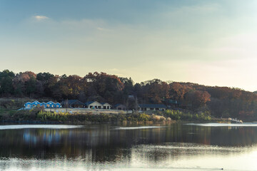 Beautiful autumn season maples Red and orange leave background. Colourful golden nature background. Japanese garden.