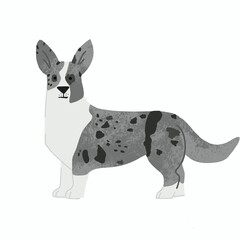Cute dog of corgi breed. Flat  illustration isolated on white background