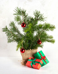 Alternative Christmas tree made of fir branches with two wrapped gift boxes on white background.