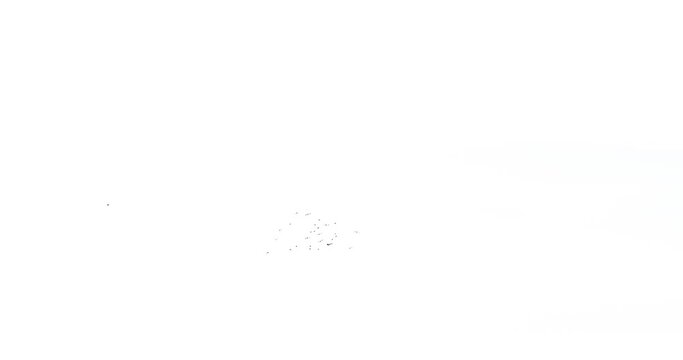 A pack of 3 different flocks of crows isolated on white background. Black ravens silhouettes in flight for compositing into your footage. Wildlife visual effects. Visual elements.