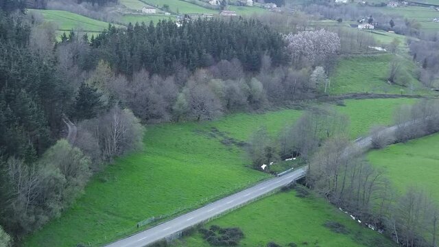 sheep flock pacing on a road guided by their shepard in the basque country, spain