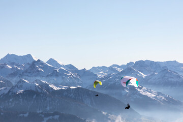 paraglider in the bernese alps.In the background mountain peaks of Eiger, Moench and Jungfrau,...