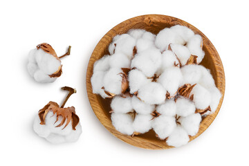 Cotton plant flower in wooden bowl isolated on white background with clipping path and full depth of field. Top view. Flat lay