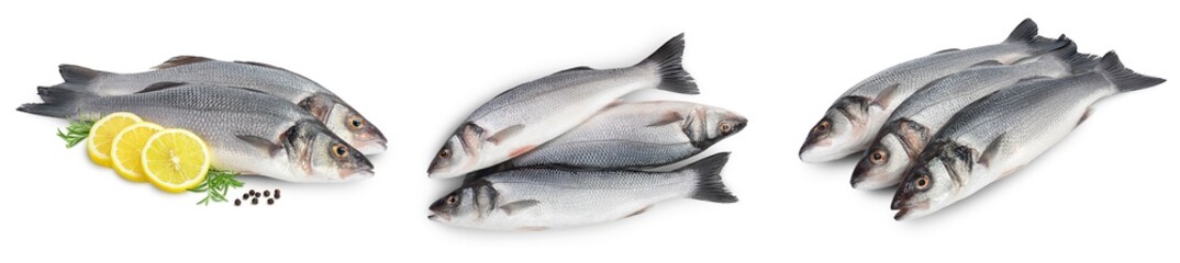 Sea bass fich isolated on white background. Top view. Flat lay. Set or collection