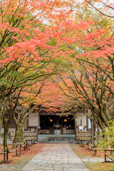 Fototapeta na wymiar 秋の呑山観音寺　福岡県篠栗町　Nomiyama Kannonji Temple in Autumn. Fukuoka-ken Sasaguri town
