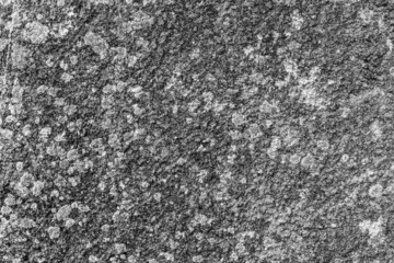 Concrete texture with streaks and stains. Gray structural background. Close up.