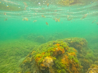 Fototapeta na wymiar Underwater Las Rotas coast Denia Alicante Spain