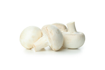 Tasty champignons mushrooms isolated on white background