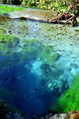 ALBANIA-Syri i Kaltër is a karst spring, the depth of which is still unknown, hidden in the middle of a dense forest of oaks and sycamores.
Its dark blue and light colors resemble a pupil 