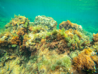 Fototapeta na wymiar Underwater Las Rotas coast Denia Alicante Spain
