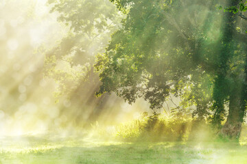 光満ちる朝もやの高原