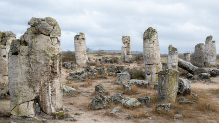 Pobiti Kamani planted stones, mystical natural sea bed rock formations rare attraction in Eastern europe,Bulgaria