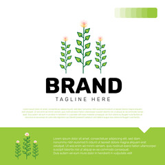 Botanical Logo Design Template Vector Illustration