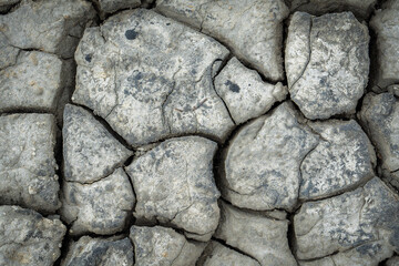 Cracked dry gray ground surface.