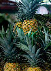 Isolated pineapple at local market