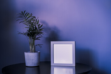 Modern minimalist interior design in very purple trendy color of 2022 year. Empty light grey frame, small Areca Palm home plant in a concrete pot on black table. Mockup. Copy space, selective focus
