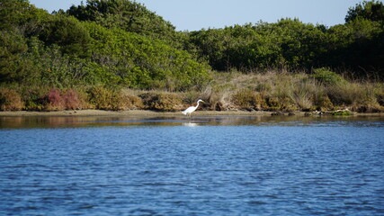 the view of a bird at the Stagno di San Teodoro, Sardinia, in the month of October