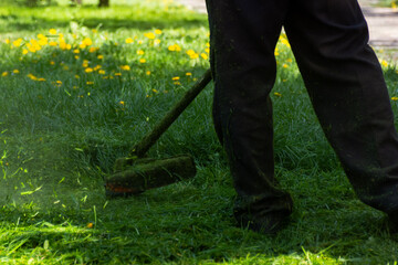 grass cutting on the lawn. work with garden equipment. backyard maintenance in summer