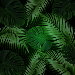 Naklejka na ściany i meble Realistic monstera and palm leaves on dark background. Modern background for your design. Illustration for birthday, party card, invitation, fashion.