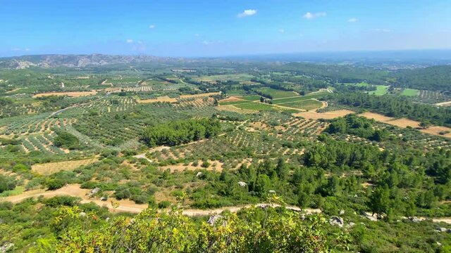 Scenic view of olive trees groves in the valley of Les Baux de Provence, France