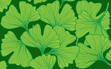 Fototapeta na wymiar Green Ginkgo biloba leaves pattern background. Vector illustration
