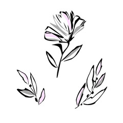 Abstract geometric handmade flower and leaves. Botanical objects for flower design. Sketchy drawing with black outlines and gray-pink strokes. Modern style. Vector illustration isolated on white