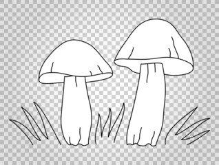 Mushrooms. Cep. Boletus. Vector outline hand-drawn doodle illustration.