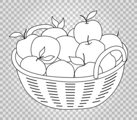 Apple basket. Basket with apples. Hand-drawn colorless vector illustration