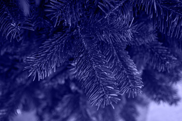 Fir tree texture tinted in the color of the year 2022 very peri. Natural background, botanical foliage 