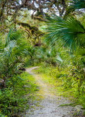 Walking path in Sleeping Turtles Preserve in Venice Florida USA