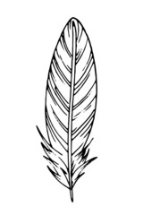 Hand drawn black feather. Ethnic boho style hand drawing.