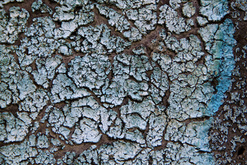 Old roofing material. Sturdy roofing material texture