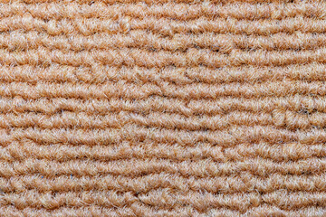Seamless close up of monochrome beige carpet texture background from above.