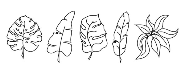 Set of hand drawn tropical leaves vector pattern in doodle style on white background.