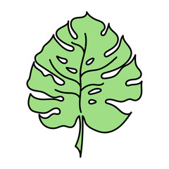 Hand drawn tropical leaf vector in doodle style, isolated on white background.